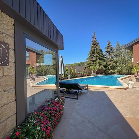 Pino - Villa, Casa, Cucina Е Terrazza Albena Dış mekan fotoğraf