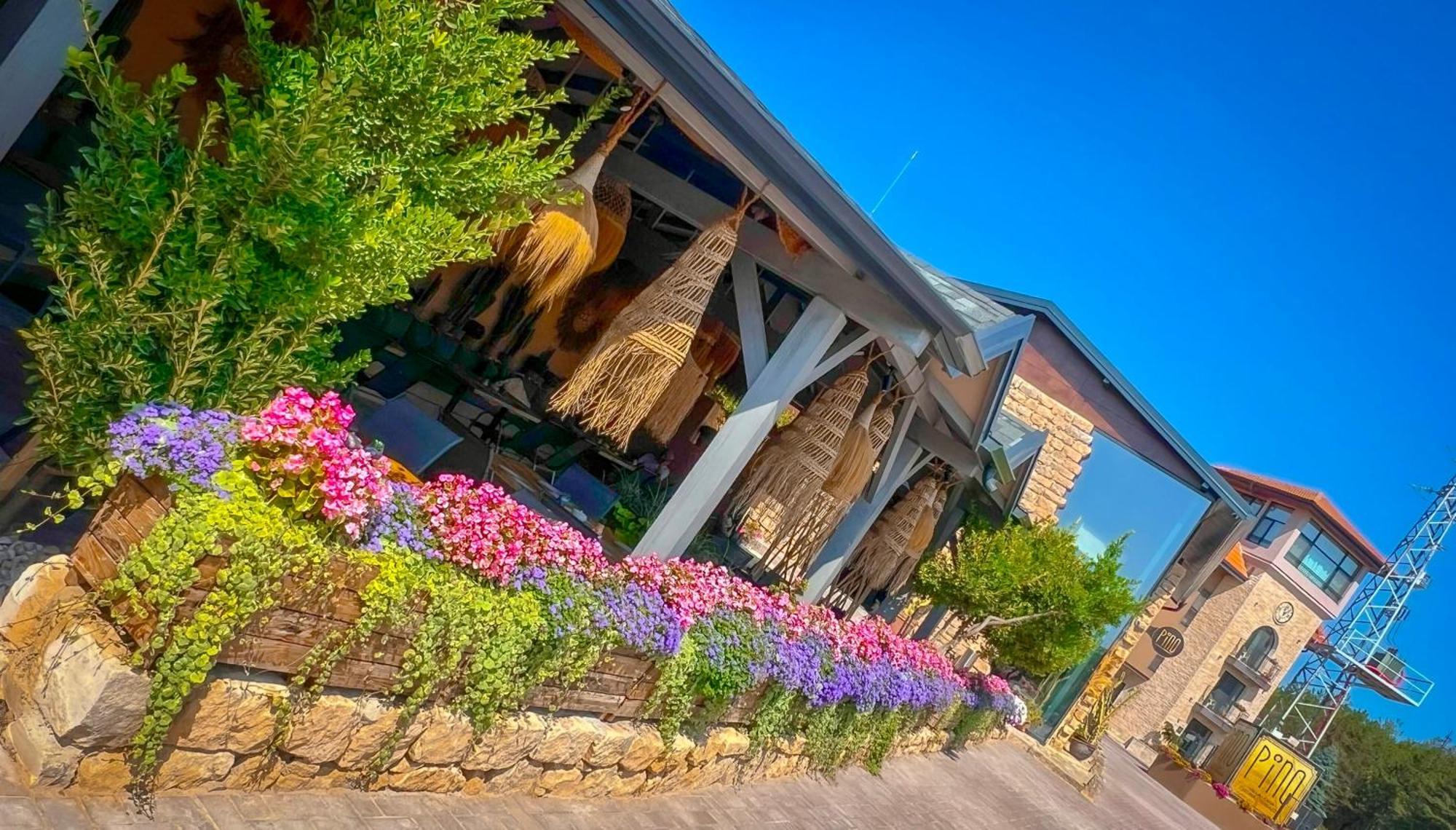 Pino - Villa, Casa, Cucina Е Terrazza Albena Dış mekan fotoğraf