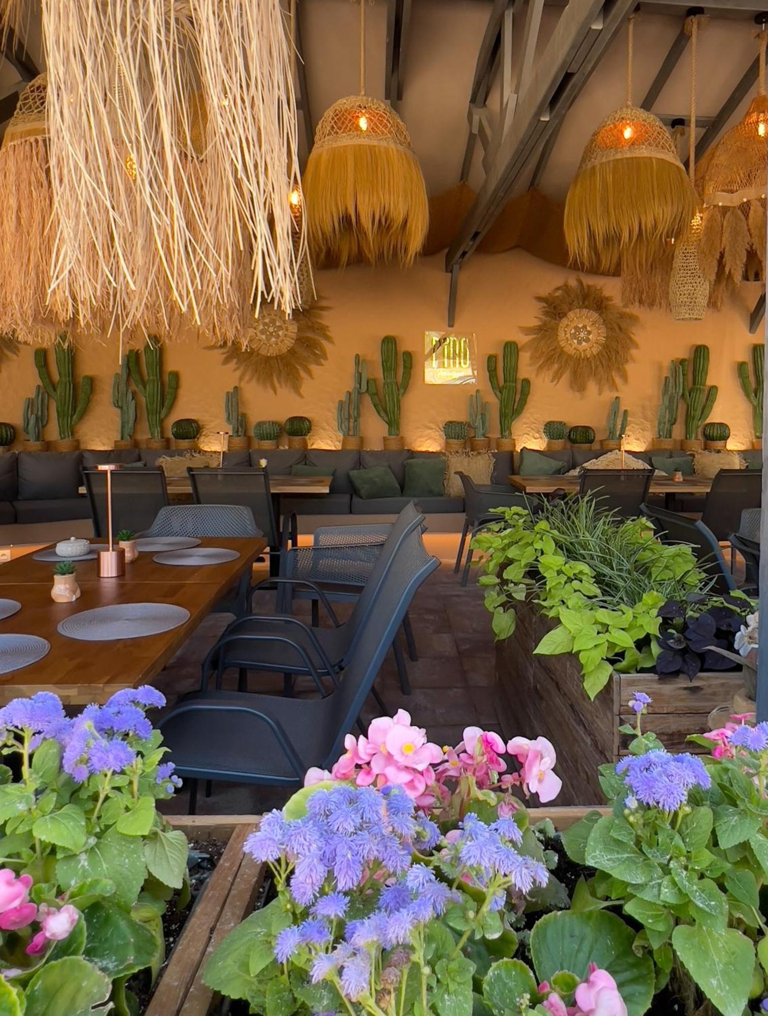 Pino - Villa, Casa, Cucina Е Terrazza Albena Dış mekan fotoğraf